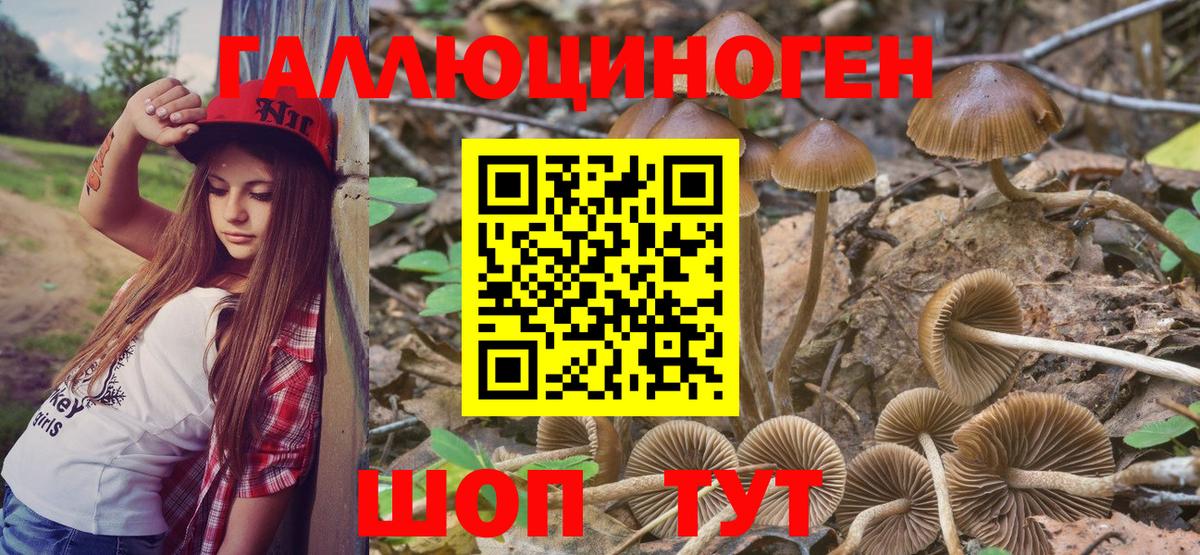 Псилоцибиновые грибы GOLDEN TEACHER Волжский